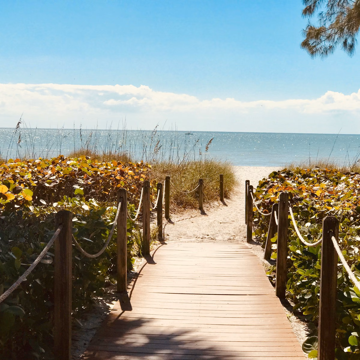 A clean, wide Palm Beach County beach set up with cabana and lounge chairs