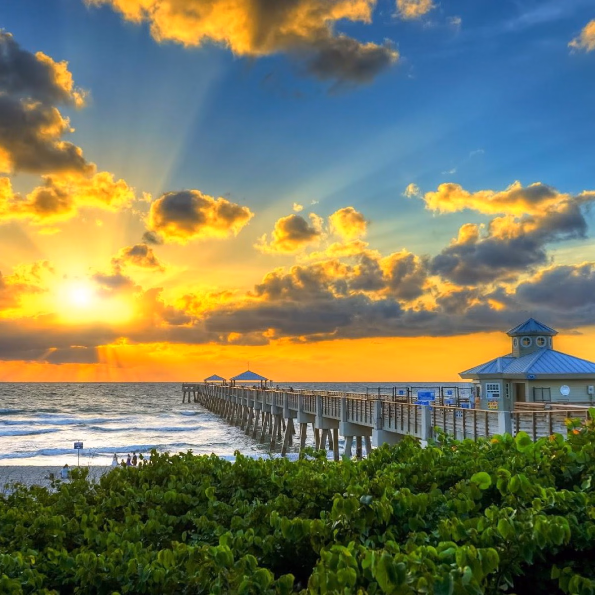 Juno Beach